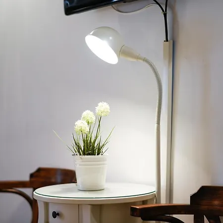 어코모데이션 지나 아파트 자다르