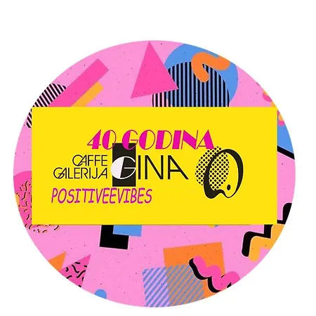 公寓 吉娜宾馆 *