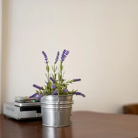 Gina Appartement